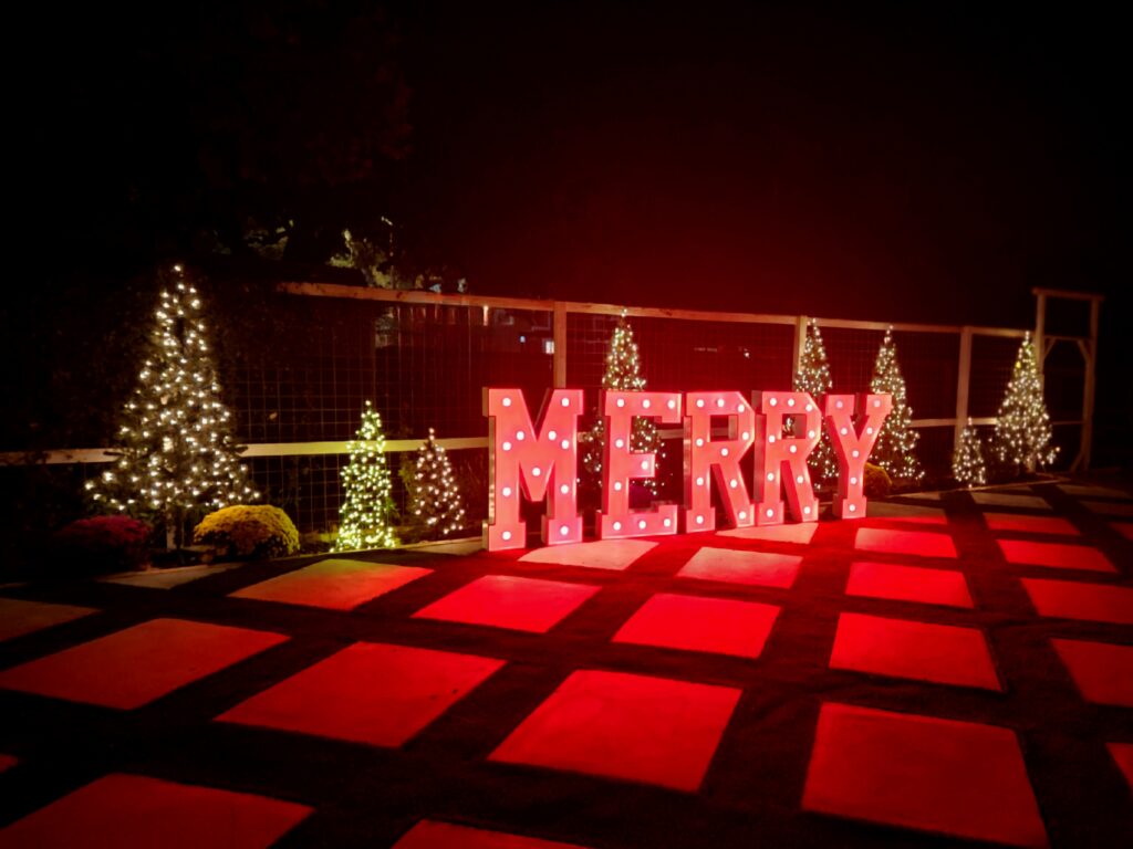 company holiday party in austin, rose haven antique rose veranda, marquee letters, merry, austin corporate event, company christmas party, austin corporate venue, austin event venue, austin venue, new years eve party, new year, austin, client appreciation party, employee appreciation party