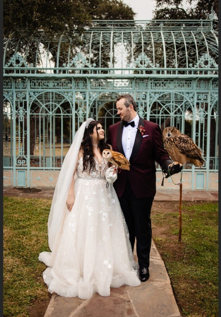 wingbearers trained owls, austin wedding vendor, local event vendor, best austin wedding vendors, austin wedding venue, dripping springs wedding venue, san antonio wedding venue, austin bride, cheap rehearsal dinner venue