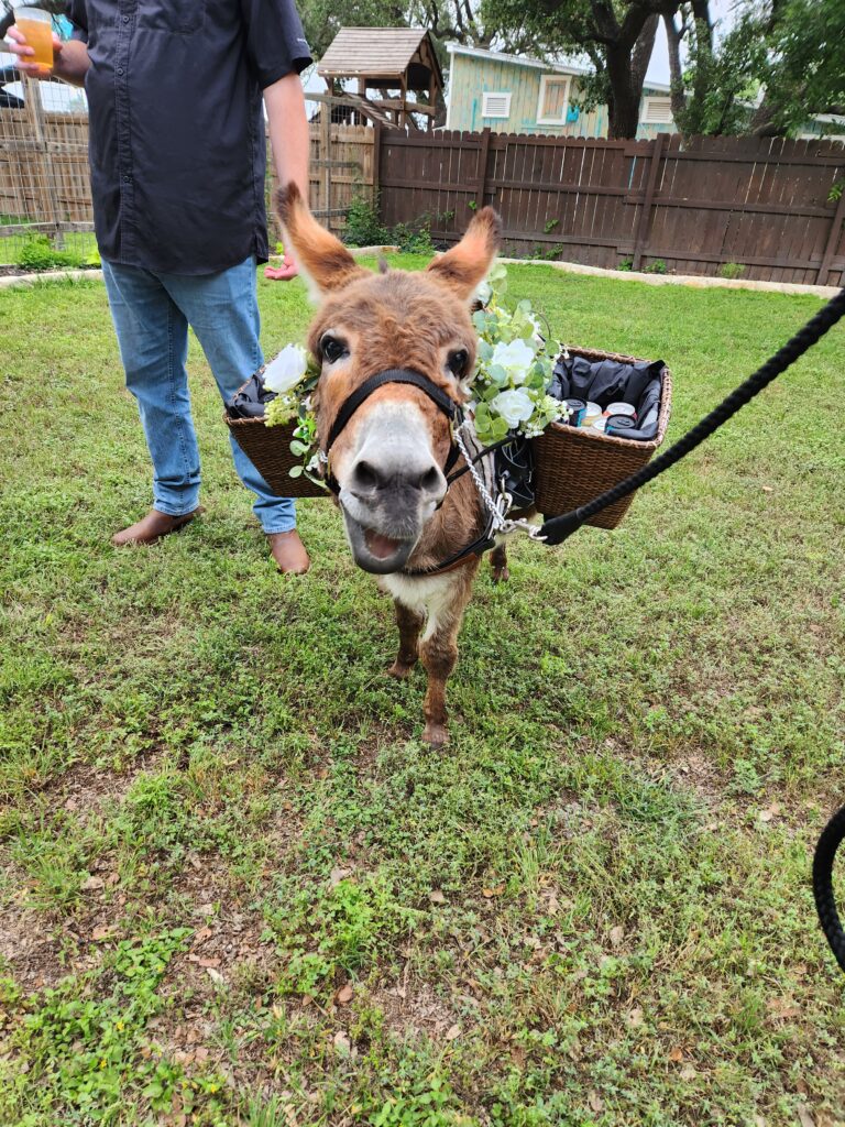 beer burro on the side lawn at Rose Haven