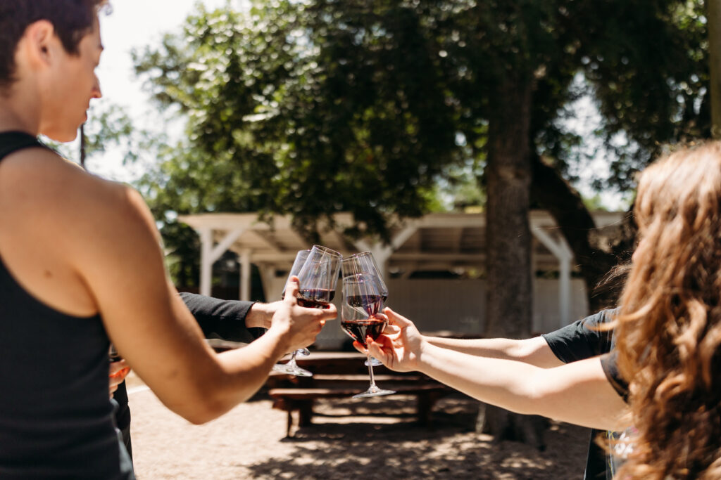 friends toasting at a wine tasting, winery, charcuterie, vineyard, sommalier, wine and cheese, engagement party in austin, engagement party texas hill country, engagement party dripping springs, georgetown, round rock, kyle, new braunfels, san antonio, planning an engagement party in austin